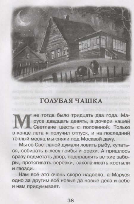 Фотография книги "Аркадий Гайдар: Чук и Гек"