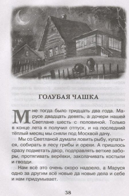Фотография книги "Аркадий Гайдар: Чук и Гек"