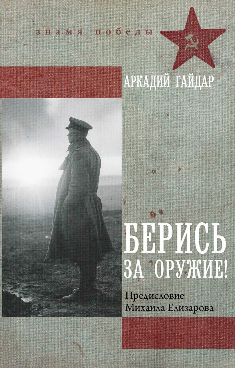 Обложка книги "Аркадий Петрович: Берись за оружие!"