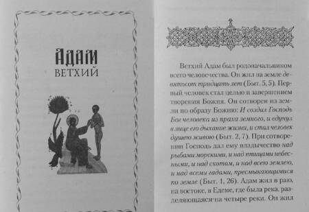 Фотография книги "Архимандрит: Адам ветхий и Адам Новый"