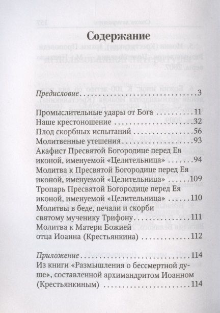 Фотография книги "Архимандрит Иоанн: Главное - быть с Богом. По трудам архимандрита Иоанна (Крестьянкина)"