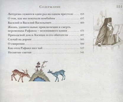 Фотография книги "Архимандрит: "Несвятые святые" и другие рассказы"