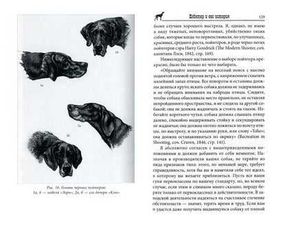 Фотография книги "Аркрайт: Пойнтер и его история"