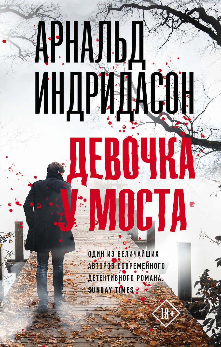 Обложка книги "Арнальд Индридасон: Девочка у моста"