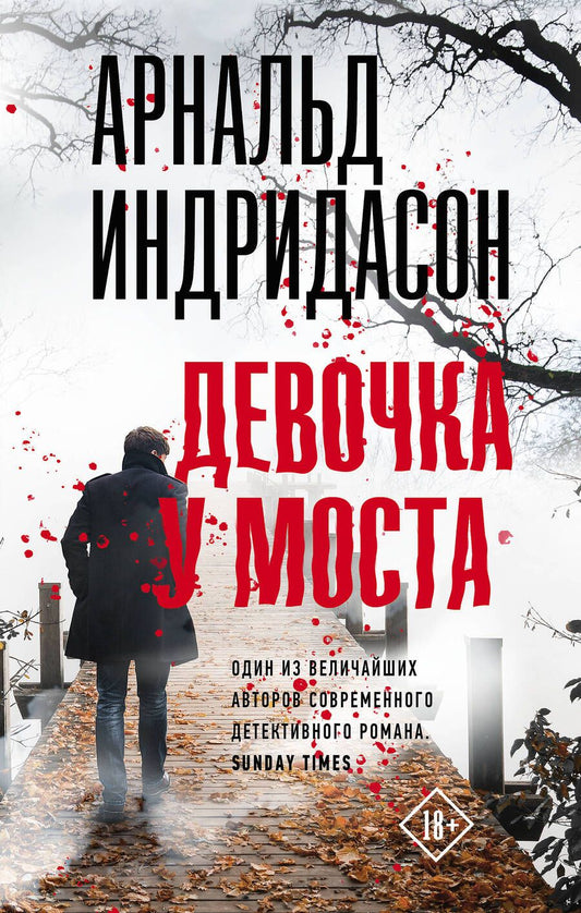 Обложка книги "Арнальд Индридасон: Девочка у моста"
