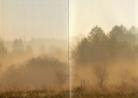 Фотография книги "Арниева: Я за Тобой"