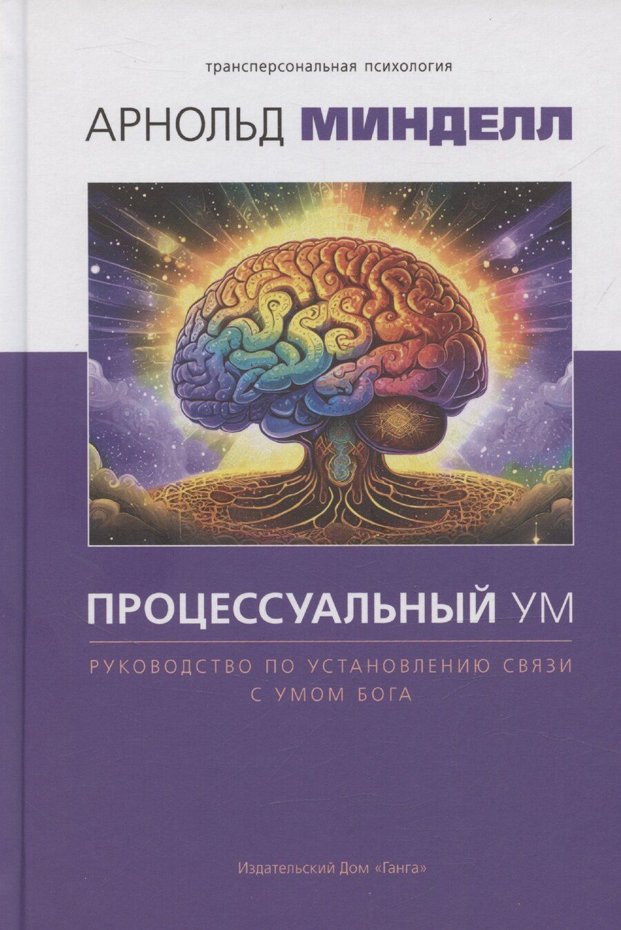 Обложка книги "Арнольд Минделл: Процессуальный ум. Руководство по установлению связи с Умом Бога"