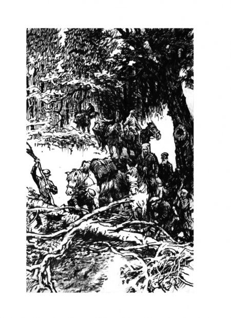Фотография книги "Арсеньев: По уссурийскому краю"