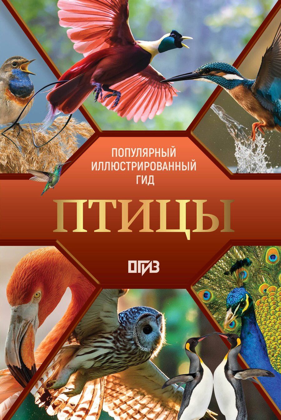 Обложка книги "Артуровна, Алексеевна: Птицы. Иллюстрированный гид"
