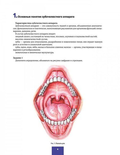 Фотография книги "Арутюнов, Волчкова, Степанов: Анатомия зубов, зубных рядов. Биомеханика зубочелюстной системы. Рабочая тетрадь"