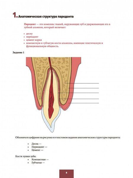 Фотография книги "Арутюнов, Волчкова, Степанов: Понятие о пародонте. Зубные отложения. Пропедевтика стоматологических заболеваний. Рабочая тетрадь"