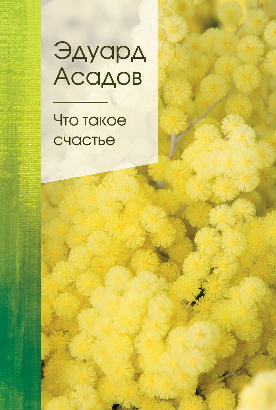 Обложка книги "Асадов: Что такое счастье"