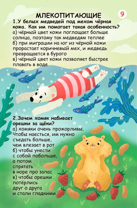 Фотография книги "Асборн - карточки. Вопросы и ответы о животном мире"