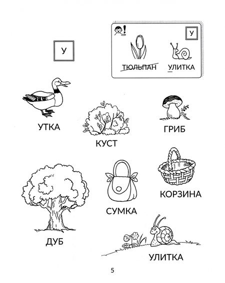 Фотография книги "Асеева: Читаем слоги и слова, переходим к текстам"