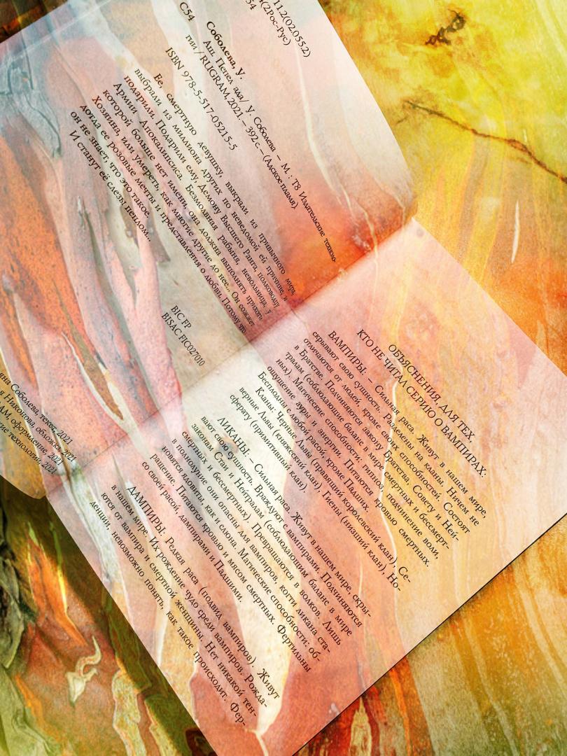 Фотография книги "Аш. Пепел ада"
