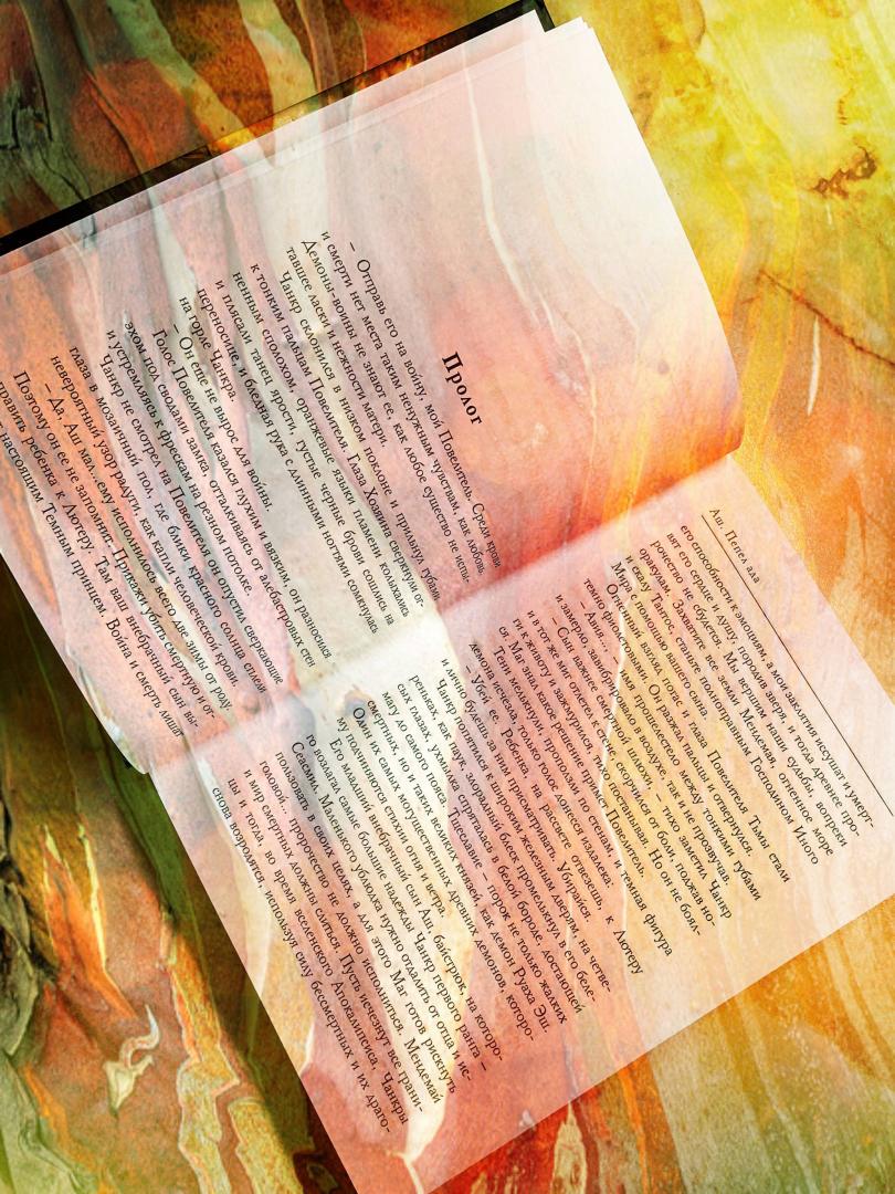 Фотография книги "Аш. Пепел ада"