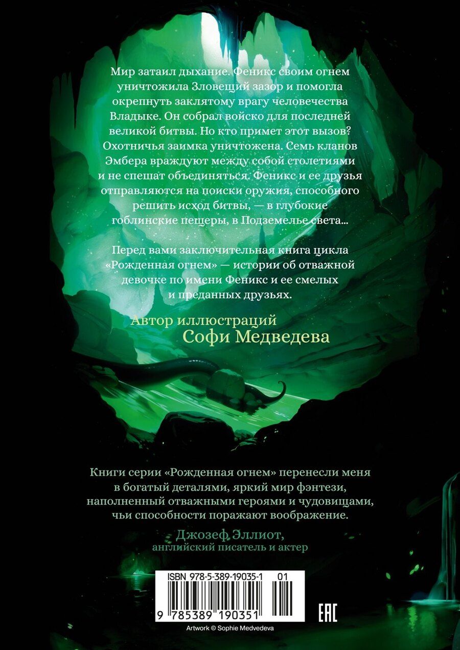 Обложка книги "Ашлин Фаулер: Рожденная огнем. Книга 3. Синичка и Подземелье света"