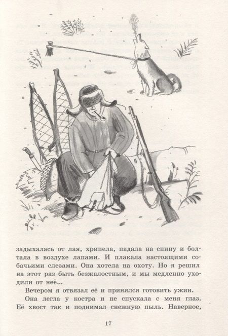 Фотография книги "Астафьев, Носов, Бианки: Белогрудка"