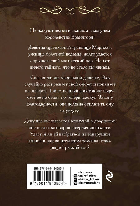 Фотография книги "Астер: Закон Благодарности. Ведьма"