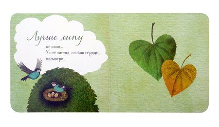 Фотография книги "Ася Петрова: Где твое деревце?"