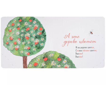 Фотография книги "Ася Петрова: Где твой цветок?"