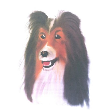 Фотография книги "Ася Радуга: Поделись добротой"