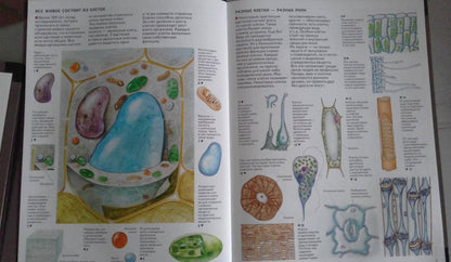 Фотография книги "Атлас. Бактерии, грибы, лишайники, растения"