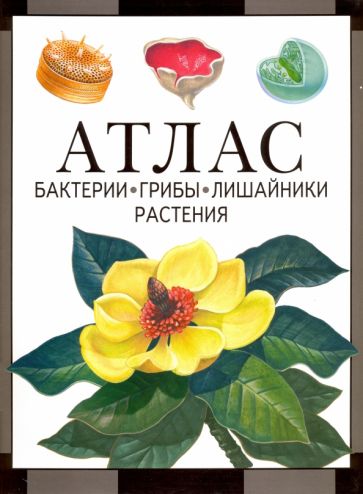 Обложка книги "Атлас. Бактерии, грибы, лишайники, растения"