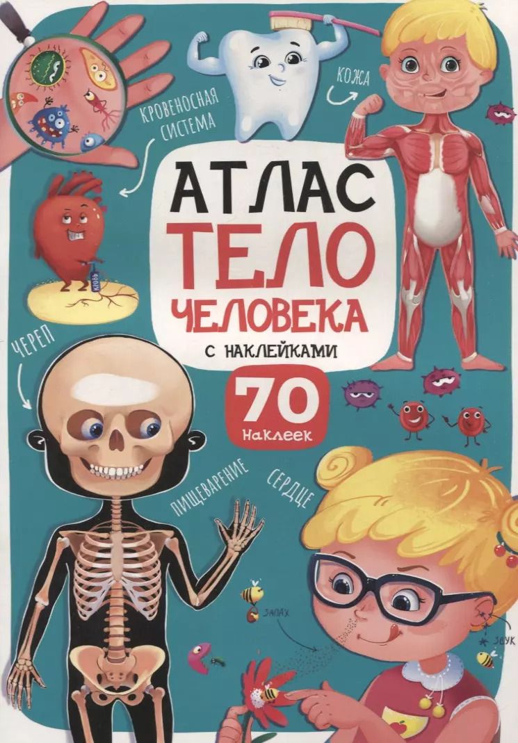 Обложка книги "Атлас. Тело человека"