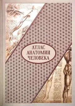 Обложка книги "Атлас анатомии человека. Все органы человеческого тела"