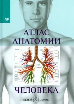 Обложка книги "Атлас анатомии человека"