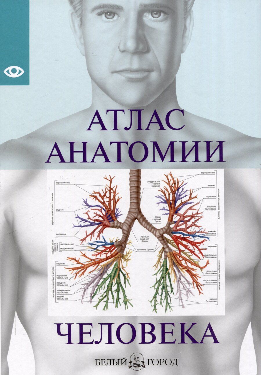 Обложка книги "Атлас анатомии человека, изд 2025"