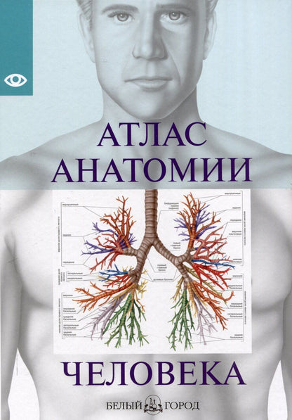 Обложка книги "Атлас анатомии человека, изд 2025"