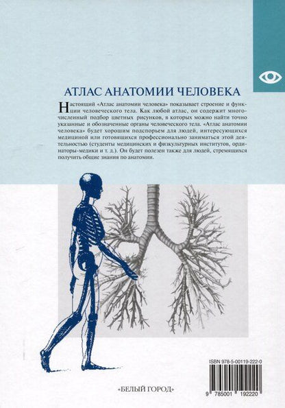 Фотография книги "Атлас анатомии человека, изд 2025"