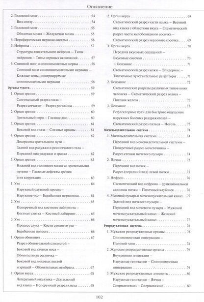 Фотография книги "Атлас анатомии человека, изд 2025"
