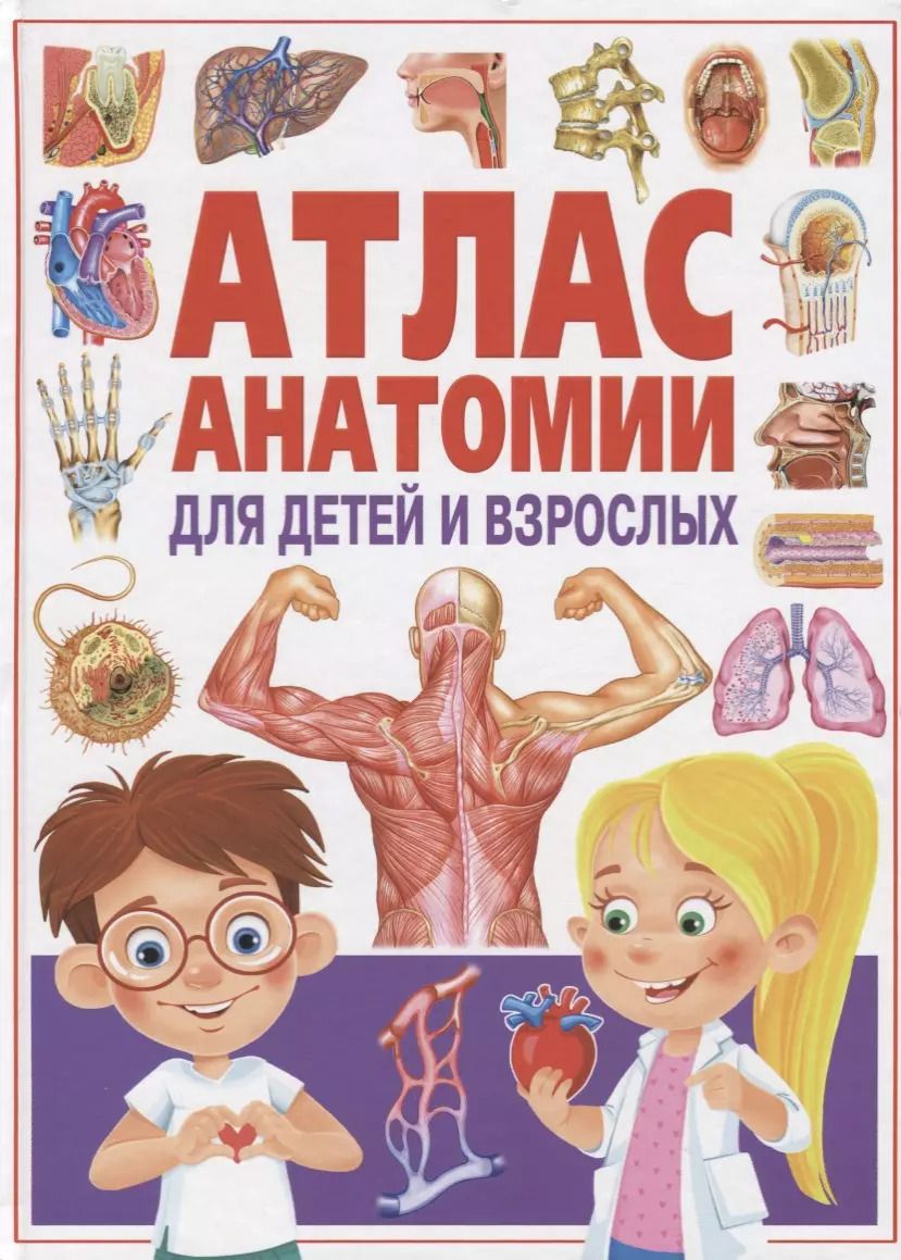Обложка книги "Атлас анатомии для детей и взрослых"