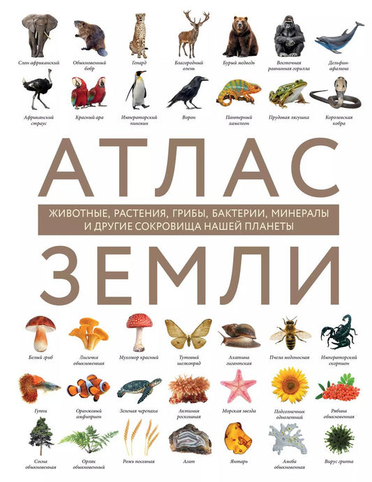 Обложка книги "Атлас Земли. Животные, растения, грибы, бактерии, минералы и другие сокровища нашей планеты"
