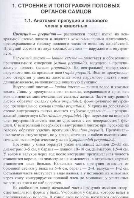 Фотография книги "Авдеенко, Федотов: Ветеринарная андрология. Учебное пособие"