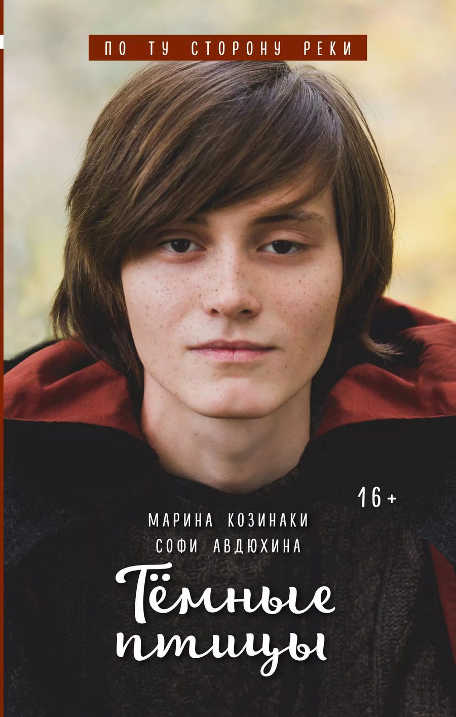 Обложка книги "Авдюхина, Козинаки: Тёмные птицы"