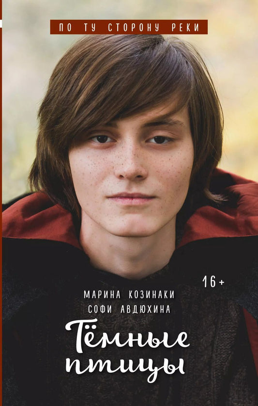 Обложка книги "Авдюхина, Козинаки: Тёмные птицы"
