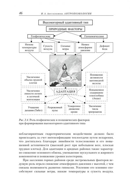 Фотография книги "Авессаломова: Антропоэкология. Учебное пособие"