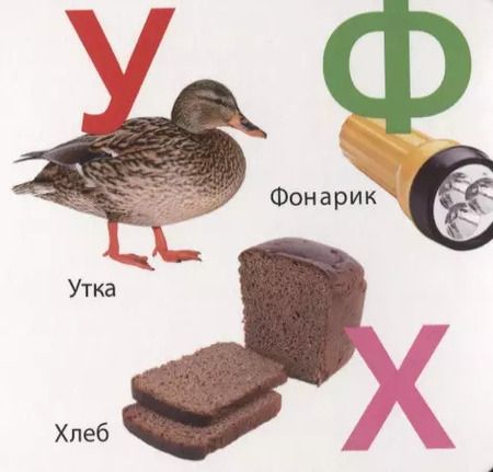Фотография книги "Азбука"