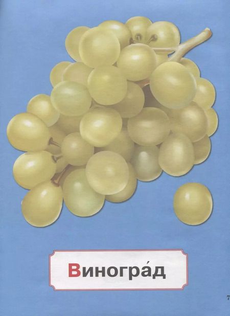 Фотография книги "Азбука для малышей"