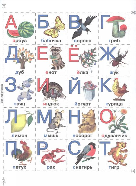 Фотография книги "Азбука для самых маленьких"