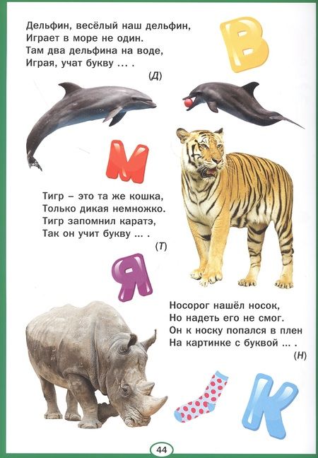 Фотография книги "Азбука и счет для самых маленьких"