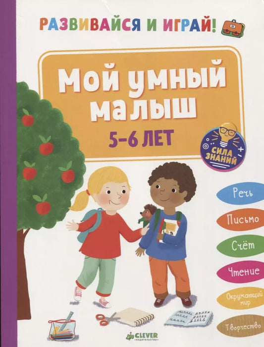 Обложка книги "Б. Арройо: Развивайся и играй! Мой умный малыш. 5-6 лет"