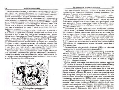 Фотография книги "Б.Б. Баландинский: Языческие шифры русских мифов. Боги, звери, птицы…"