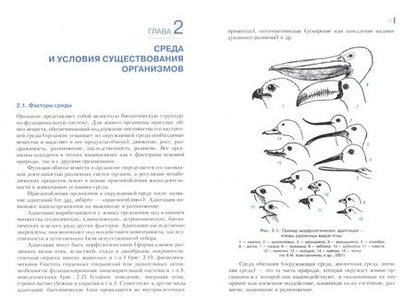 Фотография книги "Бабенко, Фадеева: Экология. Учебник"