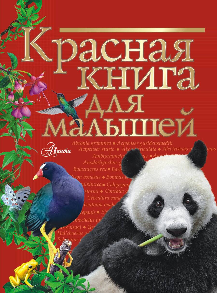 Обложка книги "Бабенко: Красная книга для малышей"