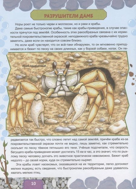 Фотография книги "Бабенко: Животные строят "